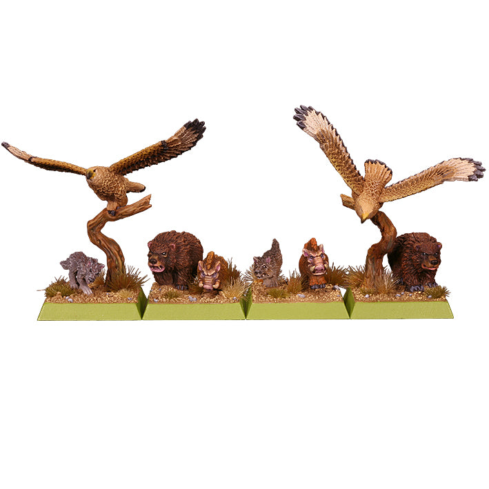 Spellcrow Argatoria Wild Creatures