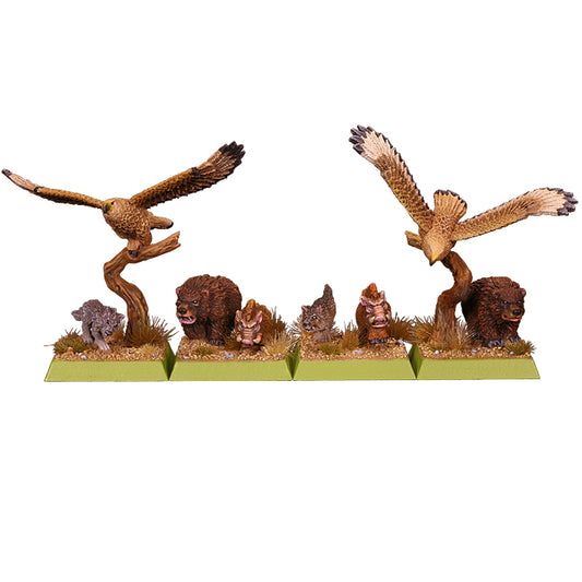 Spellcrow Argatoria Wild Creatures
